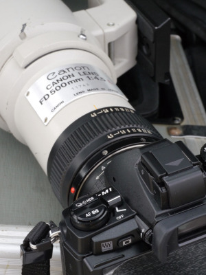 New FD500mm F4.5L をOM-D E-M1で使ってみる。: Tanne Blog